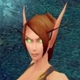 Eralan, The famous romance novelist of Quel'Thalas and ex-poison vendor #RP