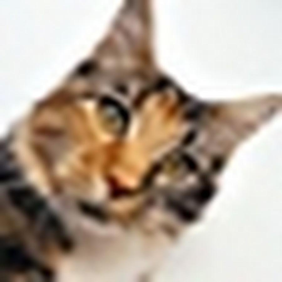 hey hye yeaah its me