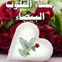 ابو هاشم النهاري (@mohammed0821) 's Twitter Profile
