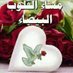ابو هاشم النهاري (@mohammed0821) Twitter profile photo ابو هاشم النهاري (@mohammed0821) Twitter profile photo