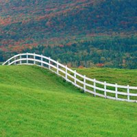 hillfencer (@hillfencer) 's Twitter Profile