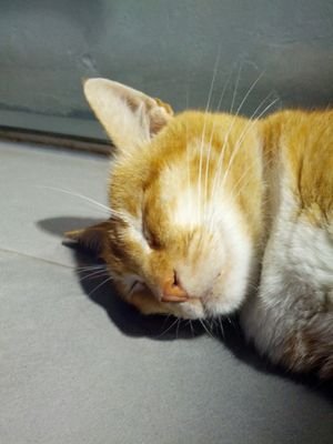 awhk831's profile picture. 