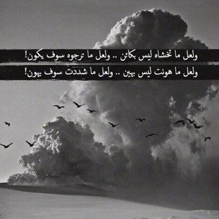 ‏والقاعدة الأولى دائمًا اصمت كأنك لم تفهم ، وتجاهل كأنك لا ترى ، !