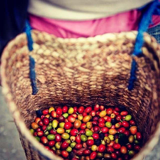 rumah, kopi, buku,  gunung, laut, sungai, hujan, coklat, malam.hitam kuning, orange, perjalanan, mengintai. menulis, sepeda, sambal pedas