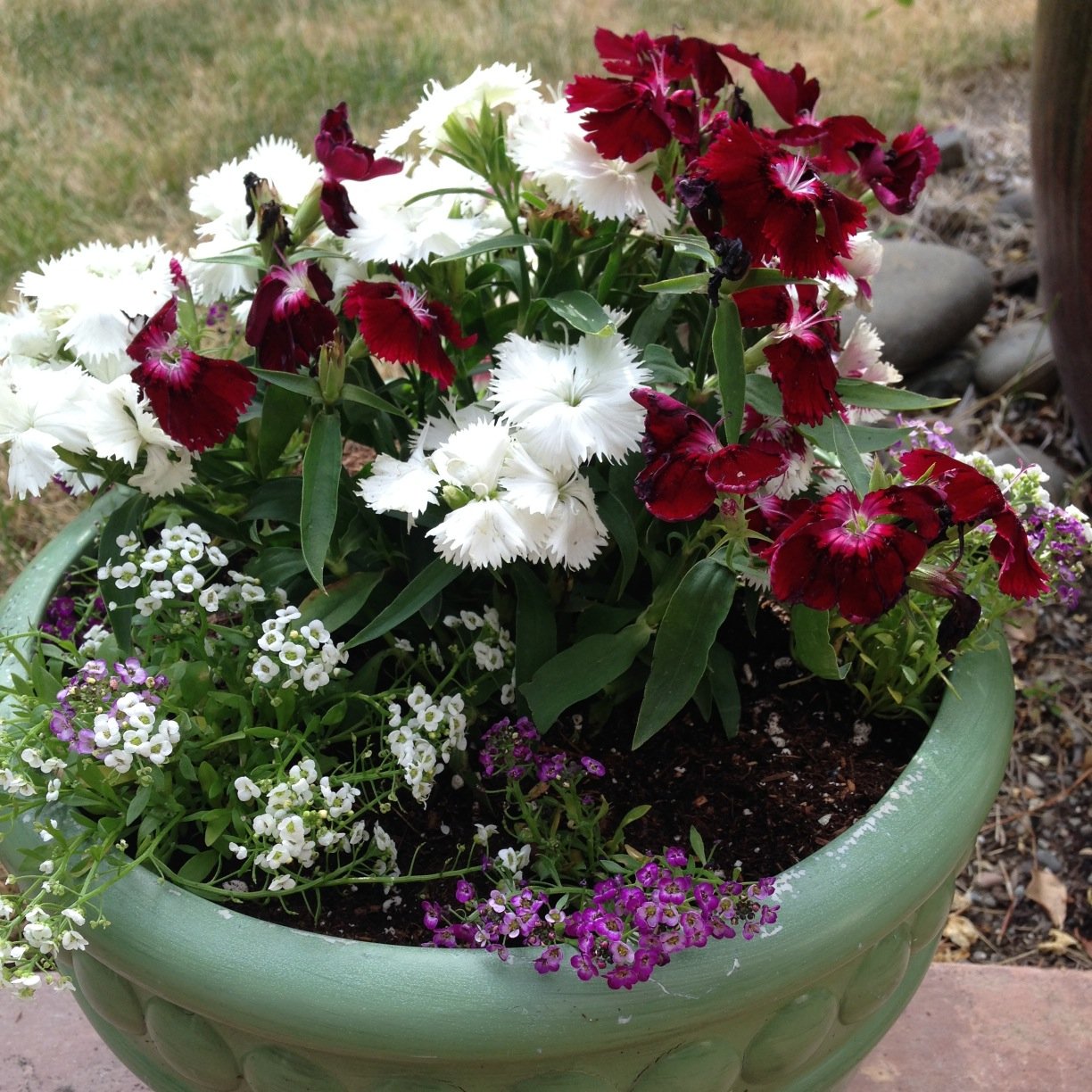 love2eatsushi's profile picture. 