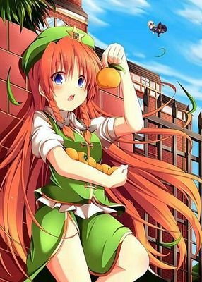 東方画像/動画/楽曲紹介さんのプロフィール画像