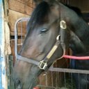 Terri Tierney - @terri_1972 - Twitter