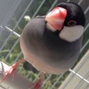 ma...。oO (@591z) Twitter