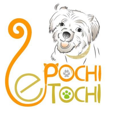 Nos dedicamos a comercializar productos SÚPER NOVEDOSOS para consentir a los engreídos del hogar, haciendo que luzcan radiantes y más bellos que nunca.