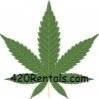 Website to list 420 friendly vacation rentals, mmj friendly housing, and related services for the marijuana tourism and housing industry.