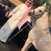 عبدالرحمن بن عبدالله الحيدر (@a_hbs) Twitter profile photo عبدالرحمن بن عبدالله الحيدر (@a_hbs) Twitter profile photo