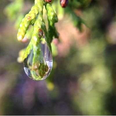 141860Hamed's profile picture. ‏‏ثلاثة أعمال لا تكلفك مالاً : الإبتسامة في وجوه الناس، و إفشاء السلام، و الكلمة الطيبة.