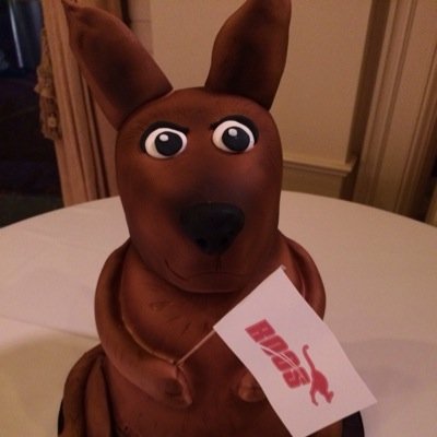 RoosTennis's profile picture. 