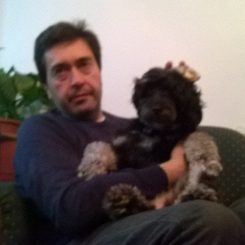 bersagliero1's profile picture. 