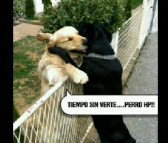 juanpab56323063's profile picture. 