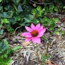 Kat Pierce - @kitkat9667 - Twitter