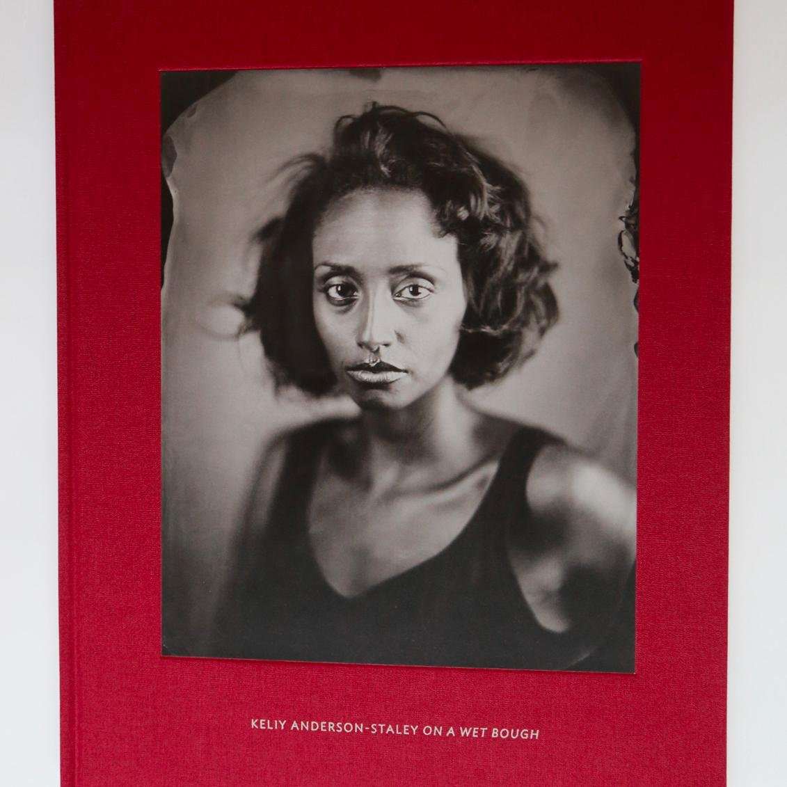 Photographer working in tintype and color film. Projects include Off the Grid and [hyphen] Americans. Associate Prof. at U of Houston. Author of #OnAWetBough