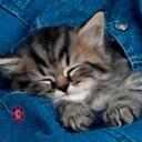 Sandra Briones - @sandrabriones - Twitter