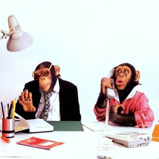 cubiclecarnies's profile picture. Ever since I started working, every single day of my life has been worse than the day before it. Every single day that you see me, it's the worst day of my life