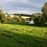 Helen (@alefounderh) 's Twitter Profile