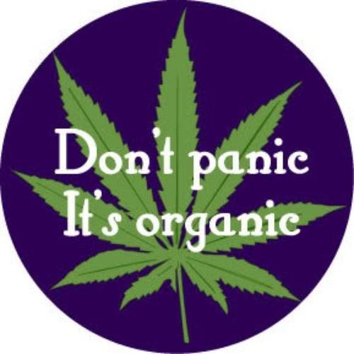 Guia de Cultivo de Cannabis em Formato PDF
+ Bônus: Os melhores bancos de sementes de cannabis
por R$120,00. Garanta Agora Seus Ebooks!