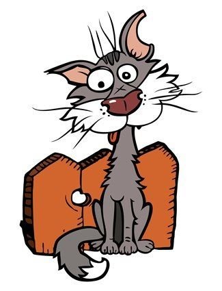 Гуроның жұдырықтай суреті