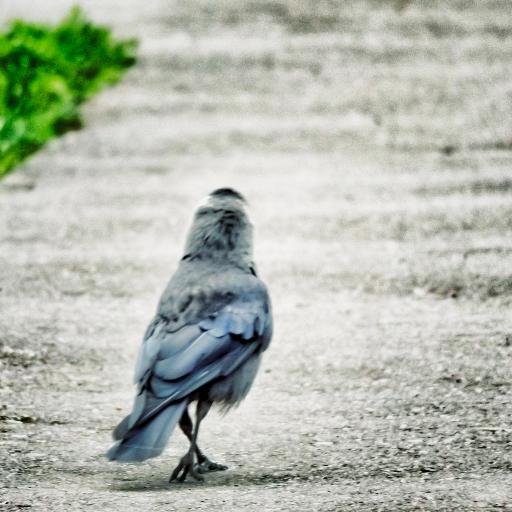 pofigistys8's profile picture. Пофигистус Обыкновеннус #взаимныйфолловинг #цепочка фолловеров #followback