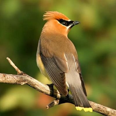 حب الجمال من حب الحياة