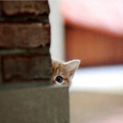 ‏‏‏‏‏‏‏‏‏‏‏الحياه إمتحان صعب للغايه،واﻹيمان شيء عظيم، ولايمكن تذليل هذا الصعب إلا بذلك العظيم..    *لا أضيف ولا ارتوت للصور النسائيه*