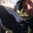 billing_dairy's profile image
