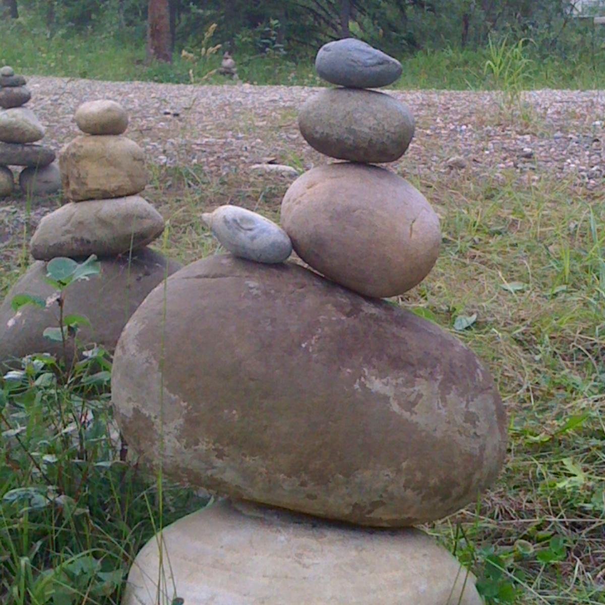 ShannonZwicker's profile picture. Consultant for the non-profit sector, amateur pianist, science geek & passionate advocate for human rights, education and the arts