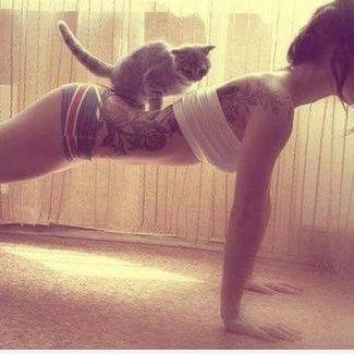 Ani__Guzman's profile picture. 