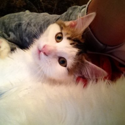 kazzajm's profile picture. 