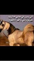 ‏‏الف رحمه علي ذيك الملامح خالد