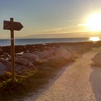 DM (@07dme) Twitter profile photo