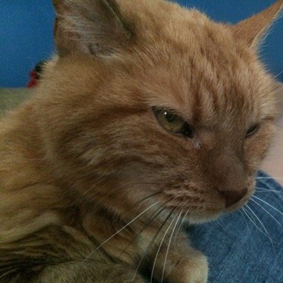 SrtaSmithRFIS's profile picture. 