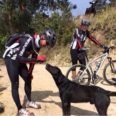 Abogado, especialista en Derecho Administrativo