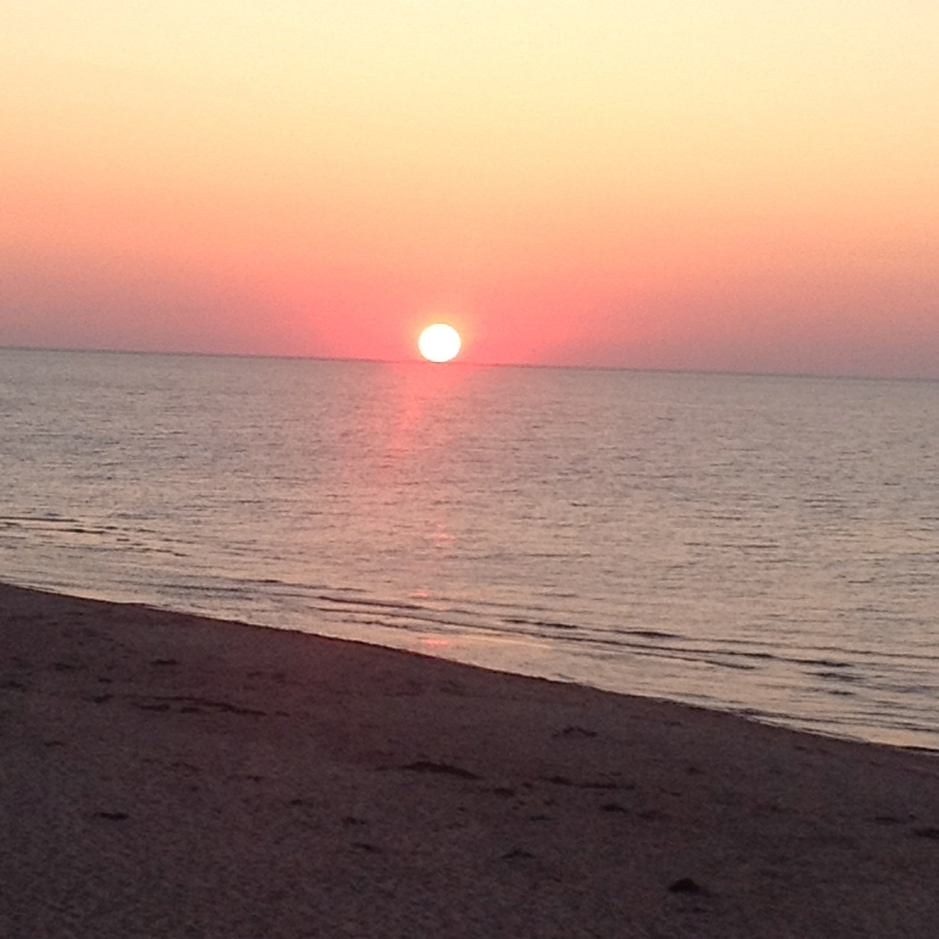 MacadamAl's profile picture. 