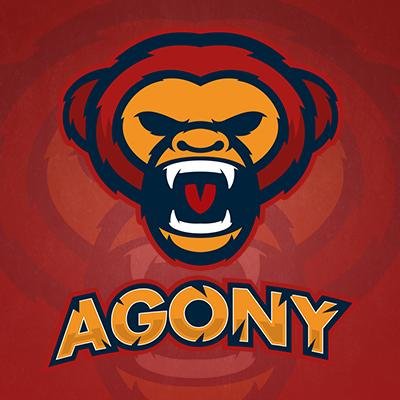 We are an upcoming Esports organization looking to make it to the top, for business inquires email: agonygames@gmail.com