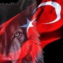 sarı bozkurt (@1971sarikurt) Twitter