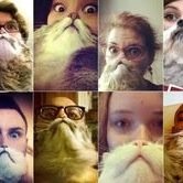 animalselfie_'s profile picture. LET ALL TAKE SELFIES WITH OUR PETS