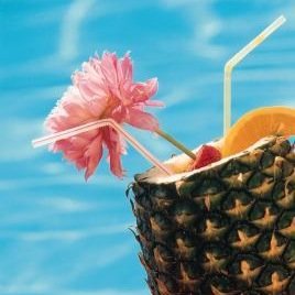 Fresh Catch Tacos, Longboard Battered Mahi Fish n Chips, Island Burger, Calamari, Reuben Sliders, Seafood Cobb Salad + Beer, Cocktails!