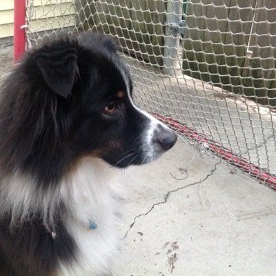 blueskybrady's profile picture. 