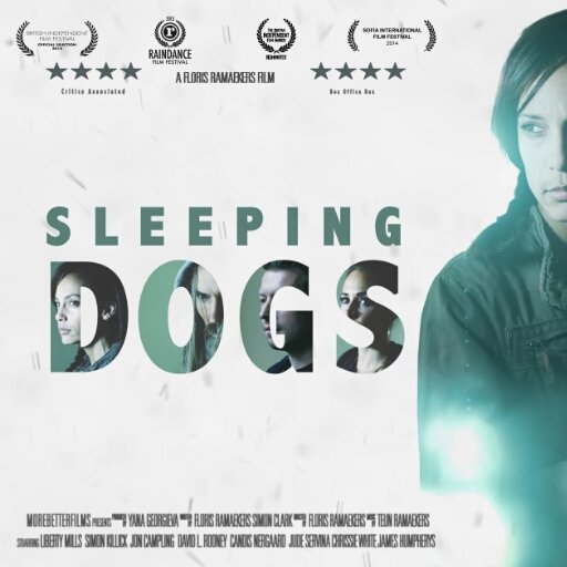 Sleeping Dogs film