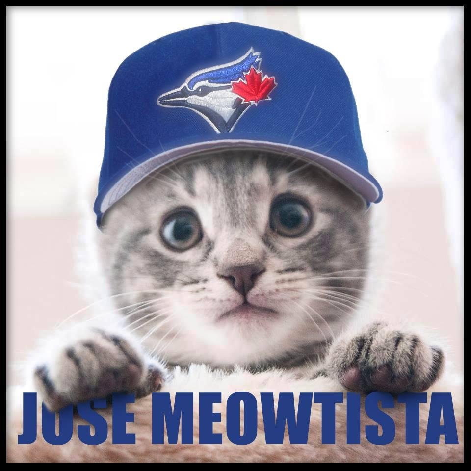 Ok. Ok. Blue Jays. Blue Jays. Meow. Meow. Meow. My friends call me Joey Cats.