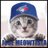 JoseMeowtista's profile image