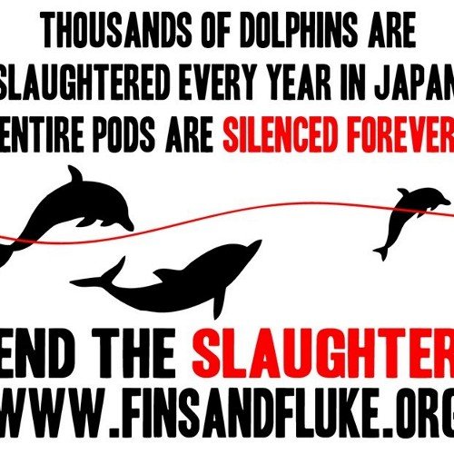 I will fight for the rights of non-humans until my last dying breath.
Always wondered - why doesn't someone do SOMETHING; then I realized - I am that someone!