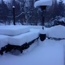 Patty Watson - @Patwin74 - Twitter