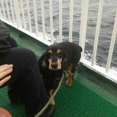 inglis_brian's profile picture. 