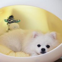 전찬길 (@ejqlcl77) 's Twitter Profile